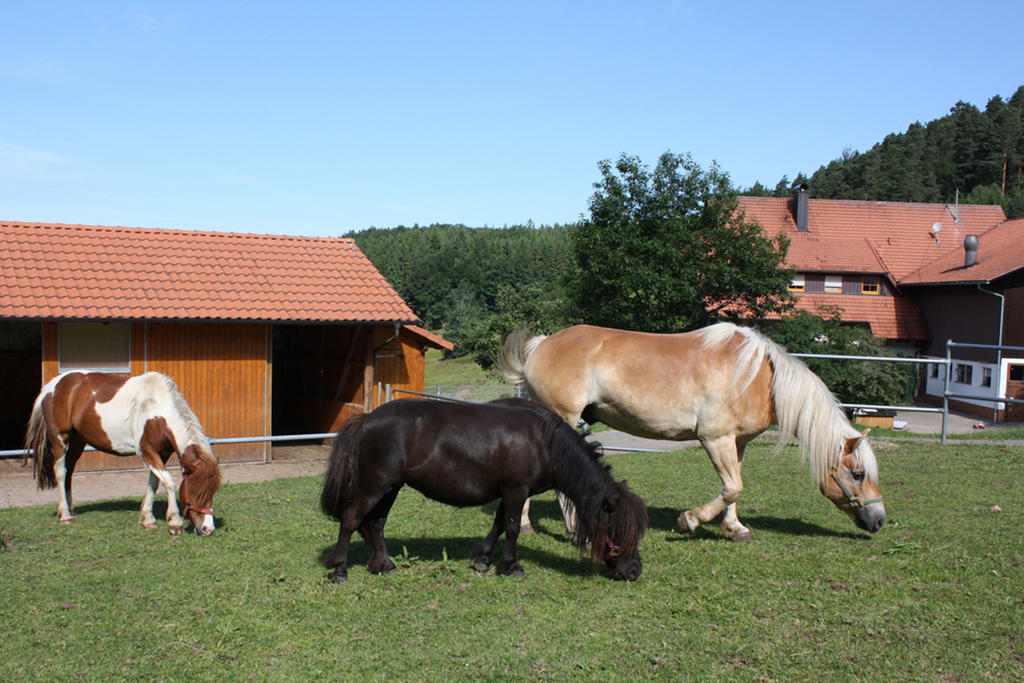 Schlosshof - Der Urlaubsbauernhof Villa Елзах Екстериор снимка