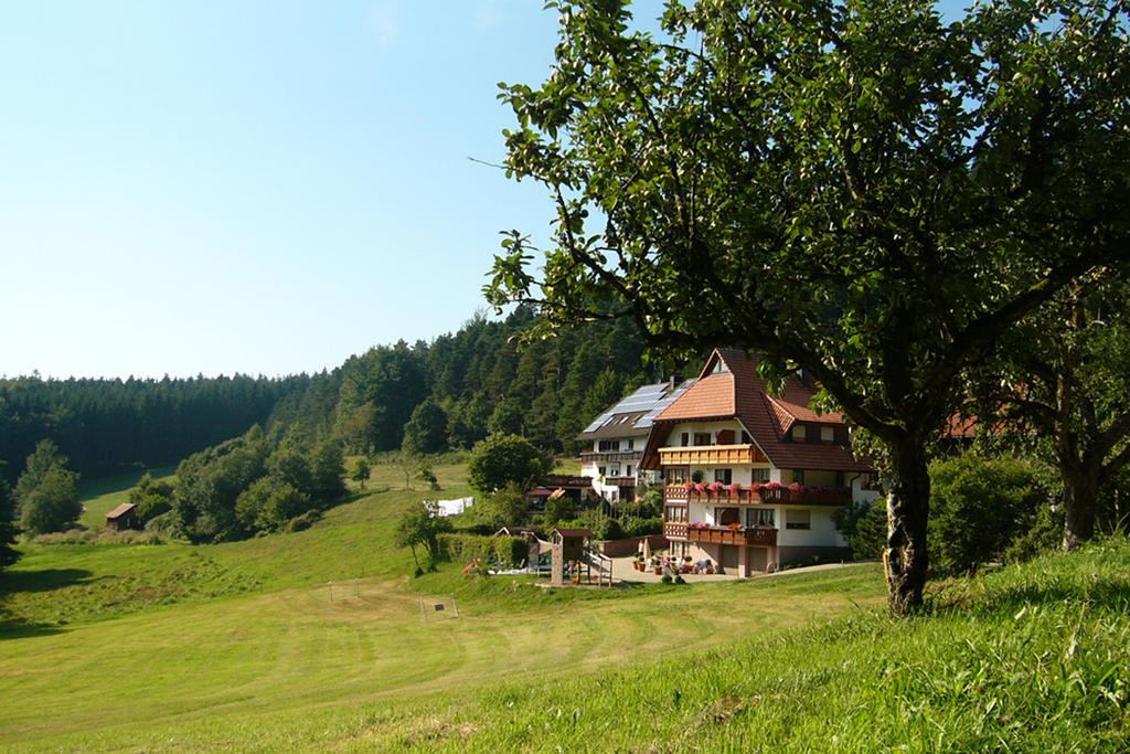 Schlosshof - Der Urlaubsbauernhof Villa Елзах Екстериор снимка