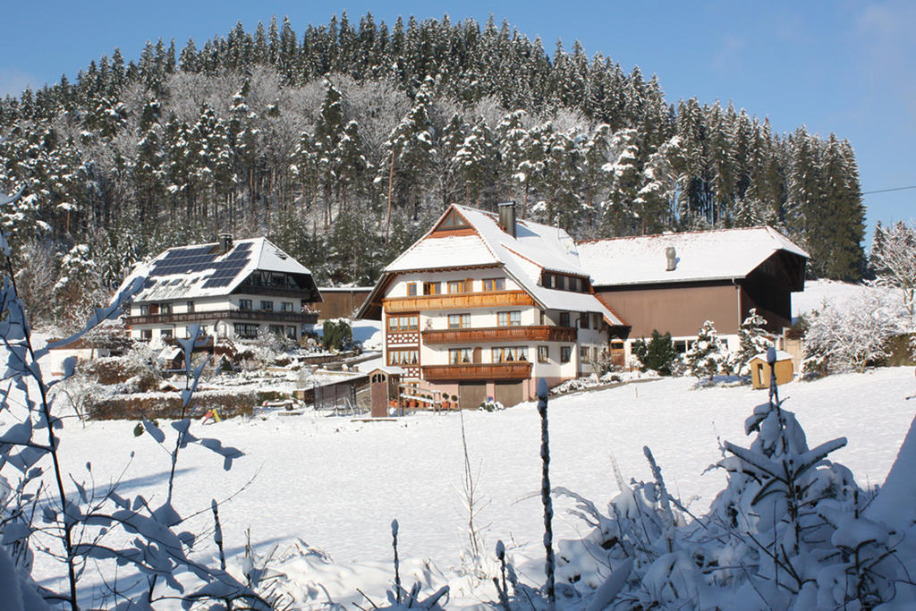 Schlosshof - Der Urlaubsbauernhof Villa Елзах Екстериор снимка