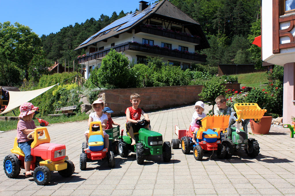 Schlosshof - Der Urlaubsbauernhof Villa Елзах Екстериор снимка